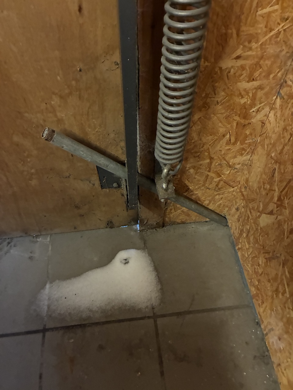 Gro%C3%9F%20%28IMG_0998%29